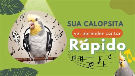Música Para Calopsita Aprender A Cantar - ASSOBIOS PARA CALOPSITA APRENDER A CANTAR RÁPIDO| #calopsita # ...