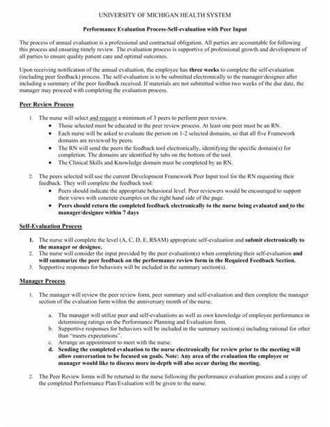 Nursing Peer Review Template Peterainsworth