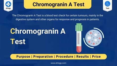 Chromogranin A Cga Test Price Procedure Results Drlogy