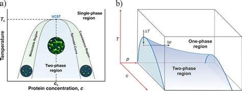 A A Representative Temperature Composition Phase Diagram For A Download Scientific Diagram