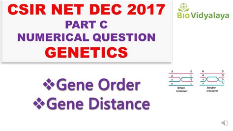 Linkage Mapping Gene Order And Distance Part 1 CSIR NET JRF GATE