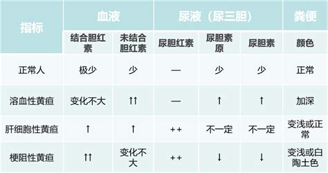 胆红素代谢与黄疸：看完主任画的这 4 张发病机制图全搞清楚了胆素