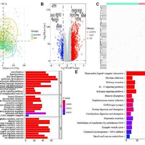 The Differential Expression And Functional Enrichment Analysis Based