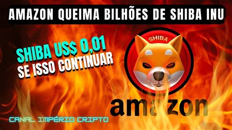 Amazon Vai Fazer A Shiba Inu Explodir Suas Queimas Se Continuar