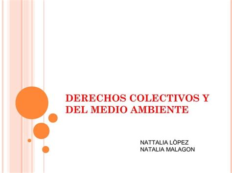 Derechos Colectivos Y Del Medio Ambiente Ppt