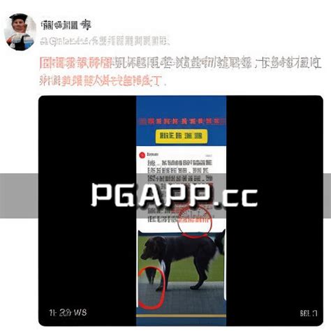 崇州女童被恶犬咬伤案再引热议 警方澄清多起谣言 Pg电子官方网站