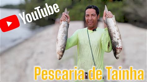 Pescaria De Tainha YouTube