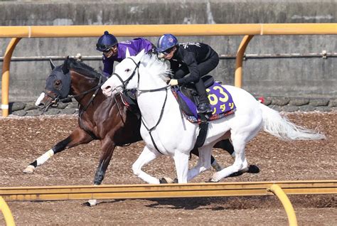 【安田記念1週前追い】ソダシが川田と初コンタクト「明らかに質が違う」 スポニチ競馬web