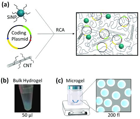 Illustration Of Rca Synthesis Of Nanocomposite Gels Containing An