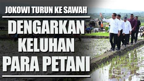 JOKOWI TURUN LANGSUNG KE SAWAH DI BANYUMAS YouTube