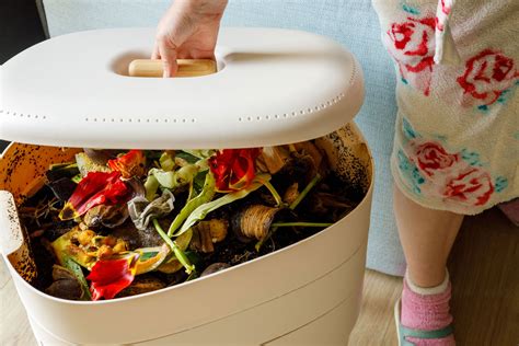 The 6 Best Worm Composting Bins of 2022