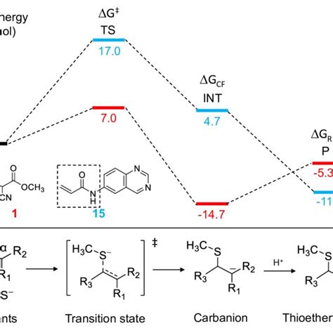 Scheme 1 Reaction Profile Of The Thiol Michael Addition Of Activated