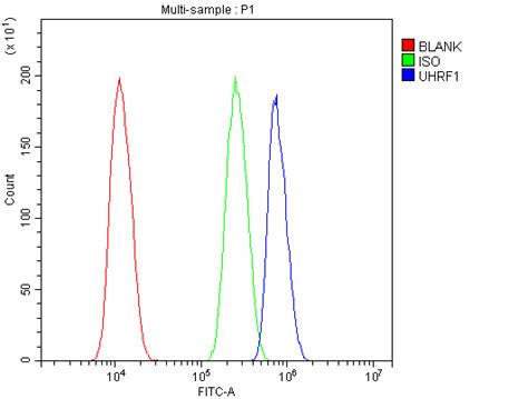 Anti Uhrf Antibody Picoband Bosterbio