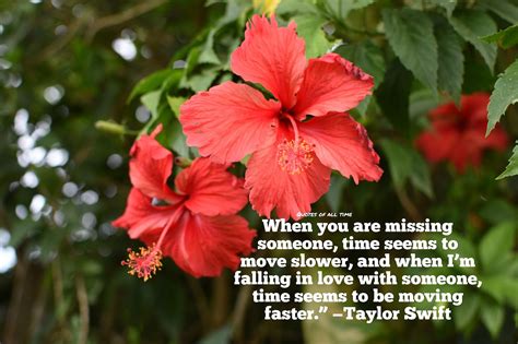 Motivation Motivational Zitate Kostenloses Foto Auf Pixabay Pixabay