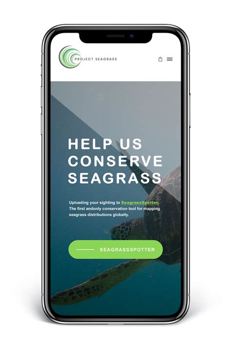 Project Seagrass - PaulClarkinDesign