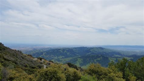 picture mountain nature landscape outdoors tree summer wood
