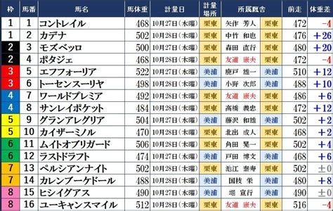 2021 105 GⅠ 天皇賞秋 調教後の馬体重 競馬を楽しむには