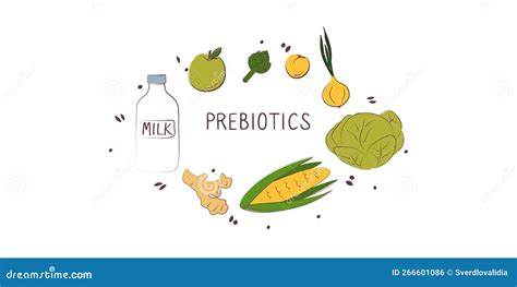 Prebiotics Containing Food Groups Of Healthy Products Containing