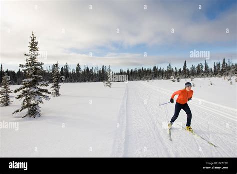 A young woman cross-country skiing Stock Photo - Alamy