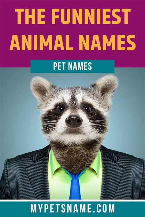 120 Hilarious and Unbelievable Funny Animal Names