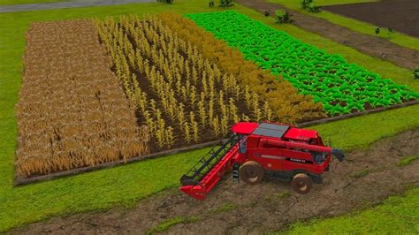 All Crops In One Field Harvesting In Fs Fs Multiplayer Gameplay