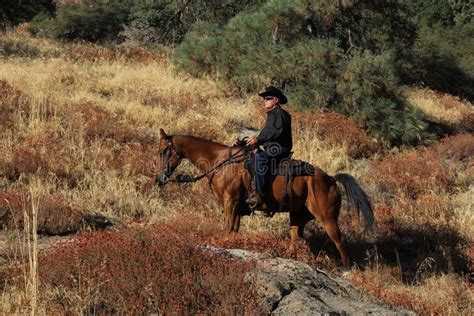 Ein Cowboy Der Sein Pferd In Einem Wald Reitet Stockbild Bild Von