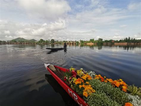 Nigeen Lake | Srinagar - What to Expect | Timings | Tips - Trip Ideas ...