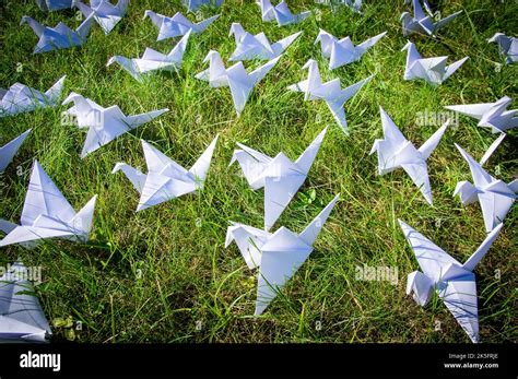 Japanese Folded Origami Cranes On Fresh Grass Hundreds Handmade Paper