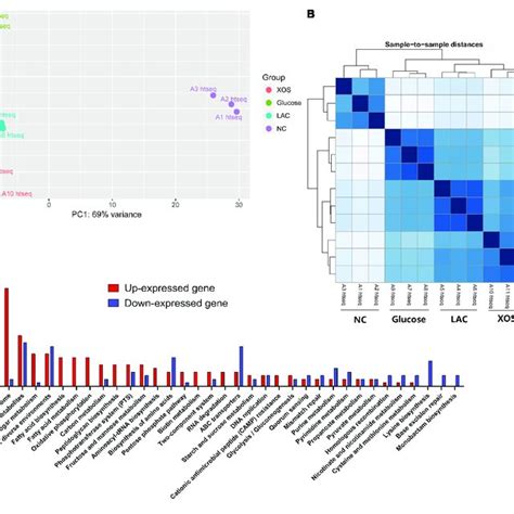 Comprehensive Analysis Of Rna Seq Principal Component Analysis Pca