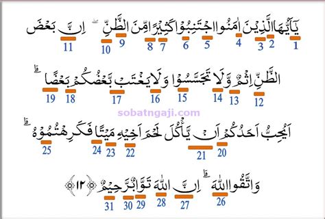 Detail Surat Al Hujurat Ayat 12 Dan 13 Beserta Artinya Koleksi Nomer 17