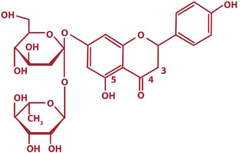 Figure From Synergistic Effect Of Fluorouracil Combined With