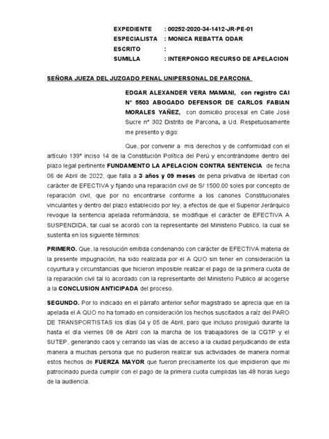 Recurso De Apelacion Pdf Sentencia Ley Apelación