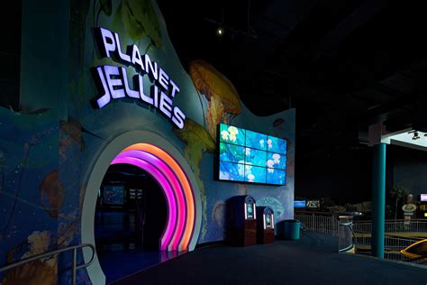 Ripley’s Aquarium Jellyfish Exhibit