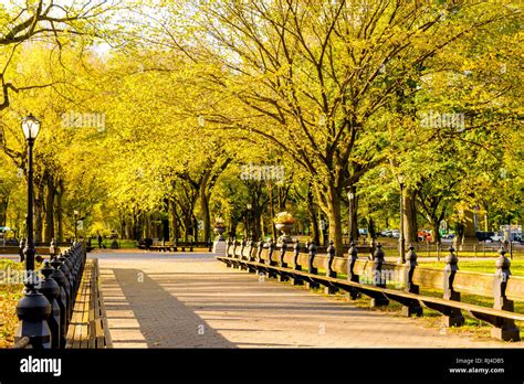 New york central park fall Fotos und Bildmaterial in hoher Auflösung