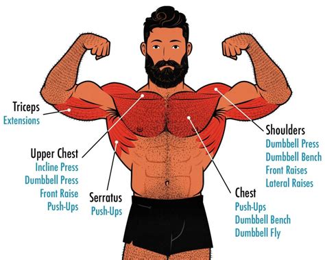 The Best Dumbbell Chest Exercises Workout