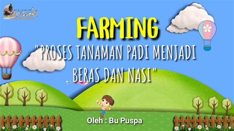 Farming Proses Tanaman Padi Menjadi Beras Dan Nasi Oleh Bu Puspa