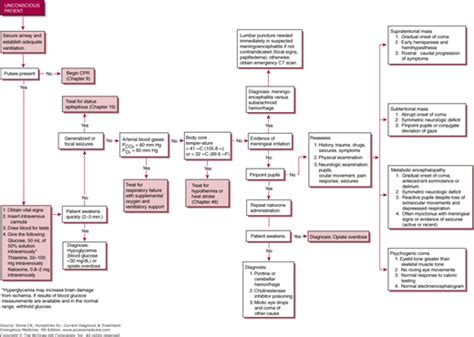 Chapter 17 Coma Current Diagnosis And Treatment Emergency Medicine 7e Accessmedicine