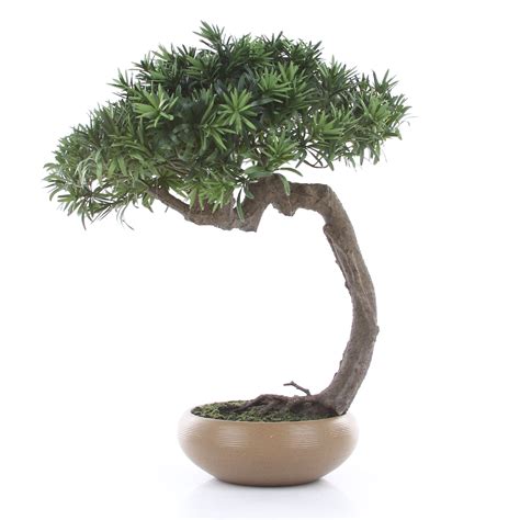 Sztuczny Bonsai Podocarpus Shankan Cm Hydroponika Pl