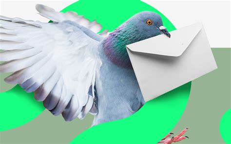 Skuteczny e mail marketing czyli jaki Wyjaśniamy Green Parrot