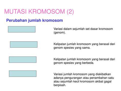 Ppt Bab 6 Mutasi Powerpoint Presentation Free Download Id2190721