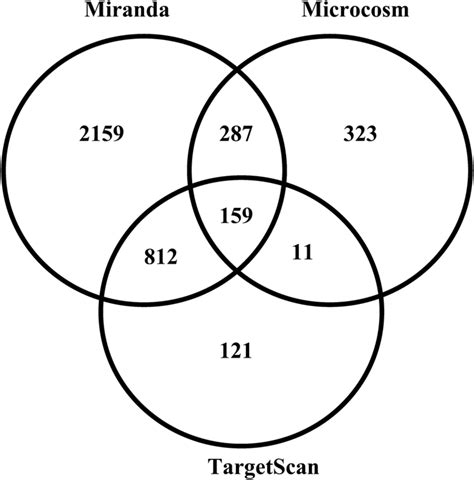 Venn Diagram Showing MRNA Targets For MiR 27b Predicted Using