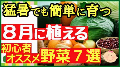 8月に植える！初心者でも手軽にプランターで栽培できるオススメ野菜7選【植え付けカレンダー】 Youtube