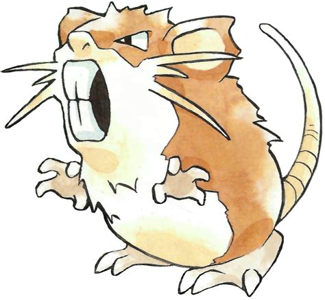 File Raticate Rg Png