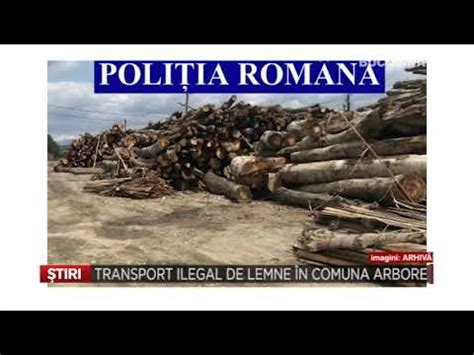 Transport Ilegal De Lemne In Comuna Arbore YouTube