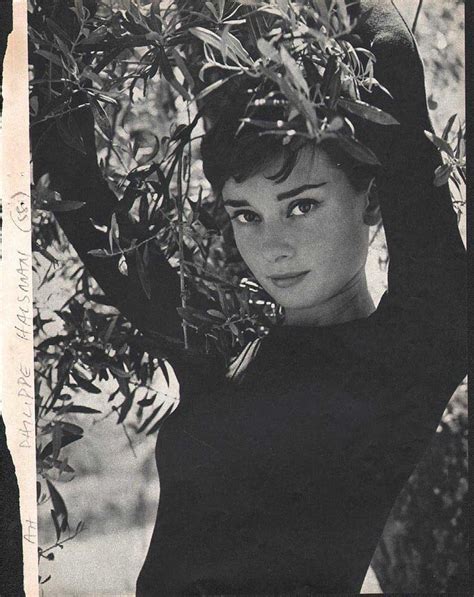 Audrey Hepburn Born Audrey Kathleen Ruston 4 May 1929 20 January