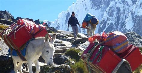 From Huaraz Trekking Santa Cruz Llanganuco Days Night