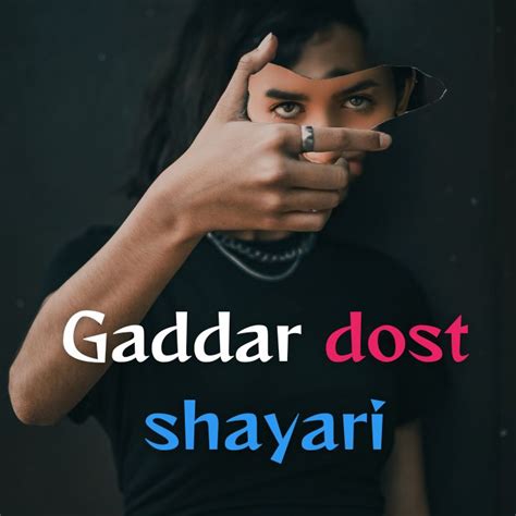 Gaddar Dost Shayari Status Shayari Hindi