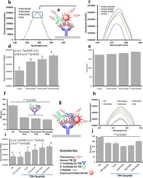 ELISA Study To Evaluate Non Competitive Binding Of PLGA GA NS To TfR