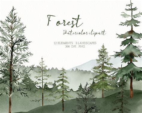 Watercolor Forest Tree Clipart Woodland Pine Trees Landscapes Wedding Invitation Png Etsy