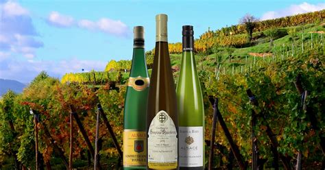 100 Best White Wines in the World - TasteAtlas